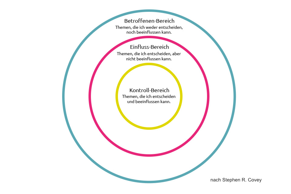 "nevo fuehrungsentwicklung modell circle of influence"